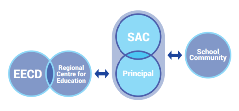 An infographic explaining SACs roles